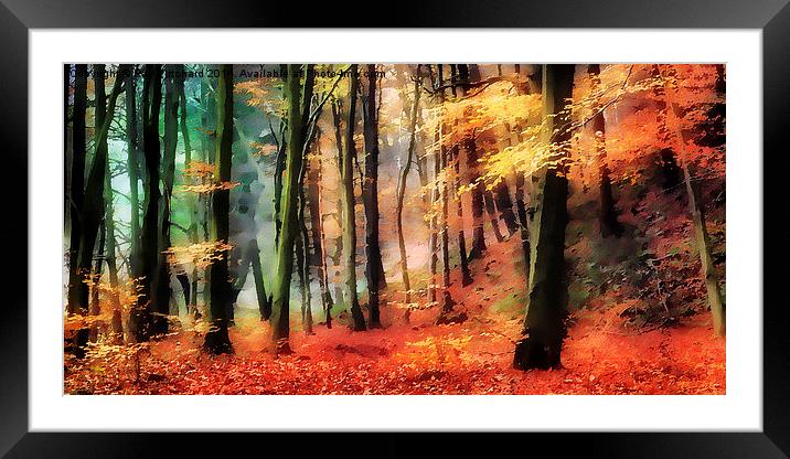 Painted Woods Framed Mounted Print by Ray Pritchard