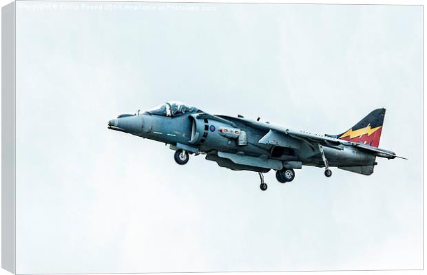 Hawker Harrier Jet Canvas Print by Philip Pound