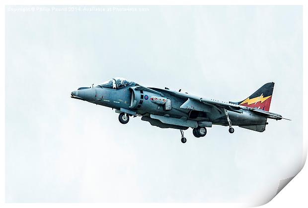 Hawker Harrier Jet Print by Philip Pound