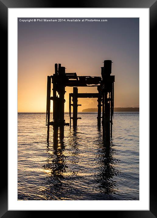 Sunrise and Dolphins Framed Mounted Print by Phil Wareham