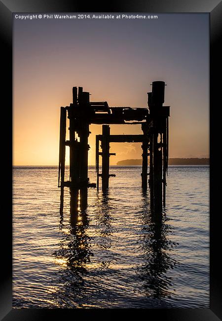 Sunrise and Dolphins Framed Print by Phil Wareham