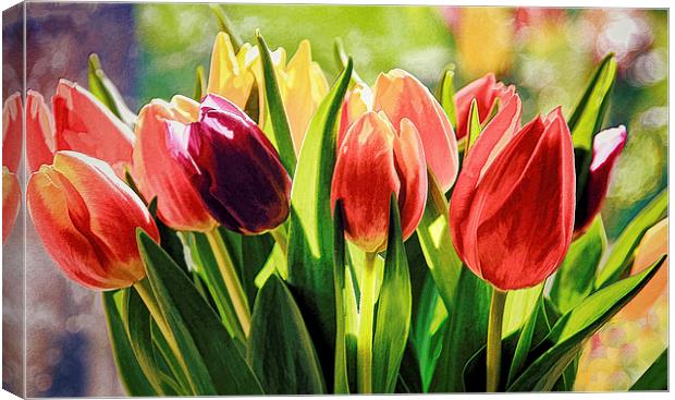 Photo-Art Bunch of Tulips Canvas Print by Ceri Jones