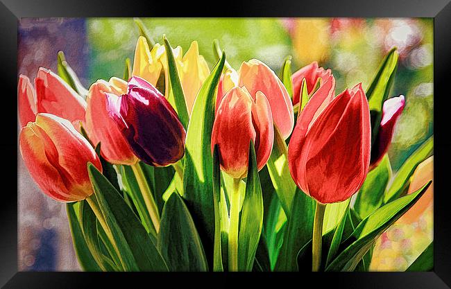 Photo-Art Bunch of Tulips Framed Print by Ceri Jones