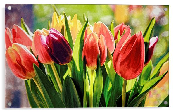 Photo-Art Bunch of Tulips Acrylic by Ceri Jones