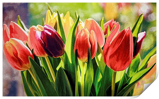 Photo-Art Bunch of Tulips Print by Ceri Jones