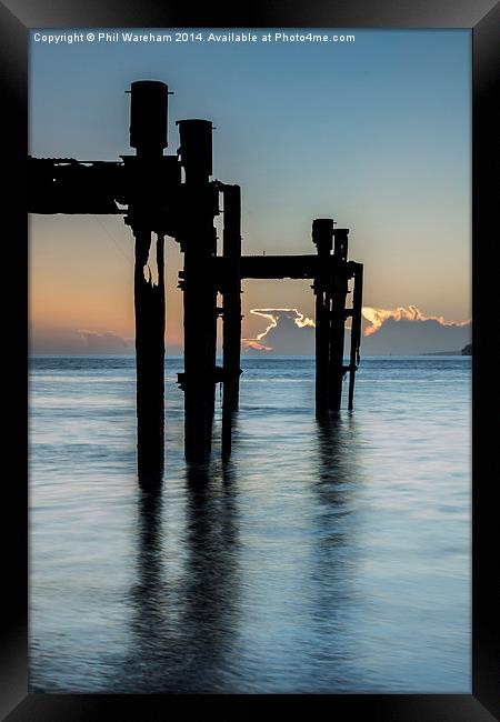 Dolphins at Lepe Framed Print by Phil Wareham