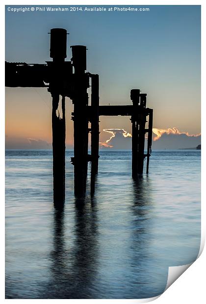 Dolphins at Lepe Print by Phil Wareham