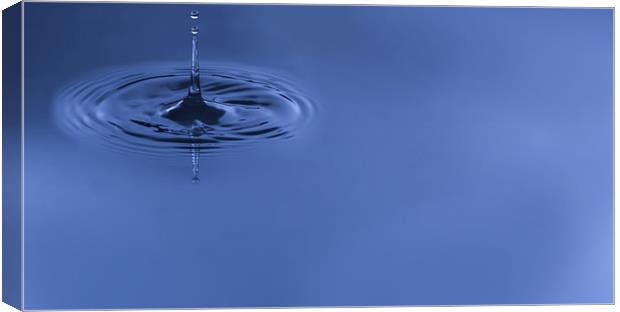 Blue water drop Canvas Print by Olavs Silis