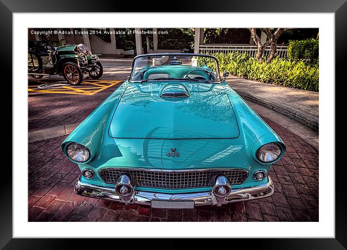 Ford Thunderbird Framed Mounted Print by Adrian Evans