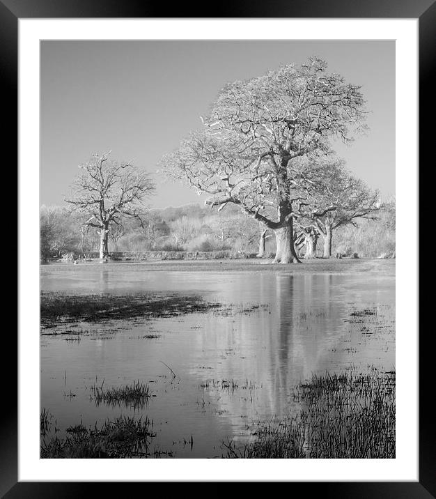 Field Of Flood Framed Mounted Print by Clive Eariss