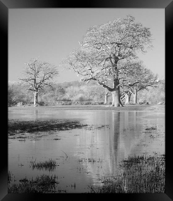 Field Of Flood Framed Print by Clive Eariss