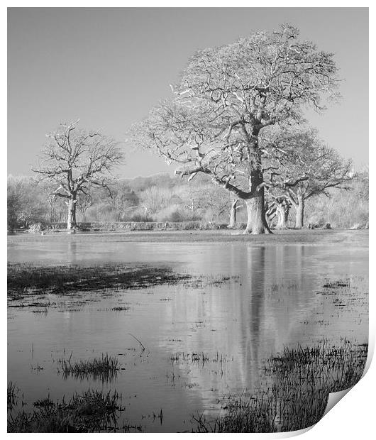 Field Of Flood Print by Clive Eariss