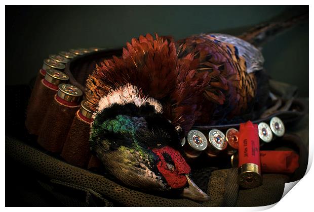 Pheasant Shoot Print by Paul Holman Photography