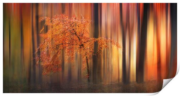 Autumn Woodland Abstract Print by Ceri Jones