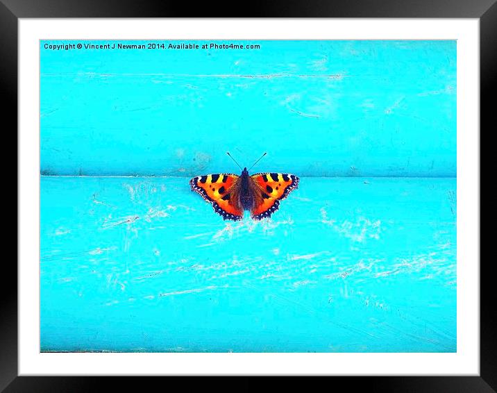 Butterfly- Unique Photography Framed Mounted Print by Vincent J. Newman