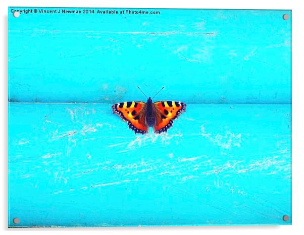 Butterfly- Unique Photography Acrylic by Vincent J. Newman