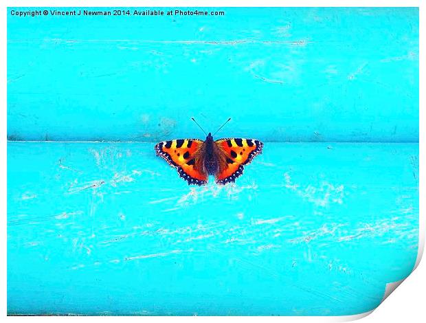 Butterfly- Unique Photography Print by Vincent J. Newman