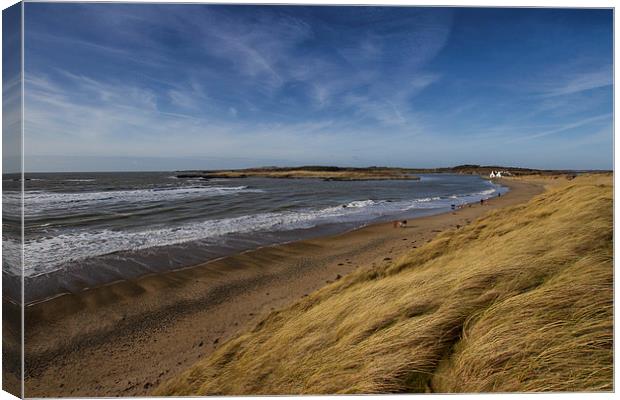 Anglesey Beach North Wales Canvas Print by P H