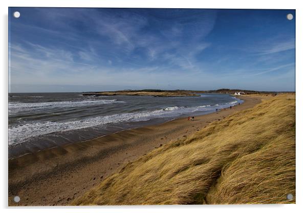 Anglesey Beach North Wales Acrylic by P H