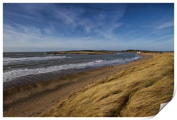 Anglesey Beach North Wales Print by P H