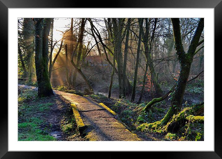 The Old River Path Framed Mounted Print by Mark  F Banks
