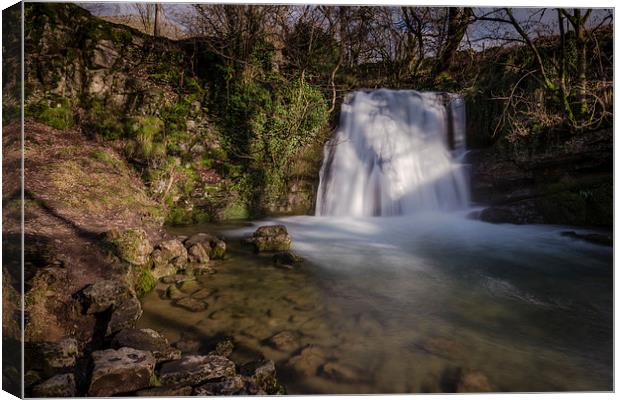 Janet s Foss - Yorkshire Dales Canvas Print by Andy McGarry