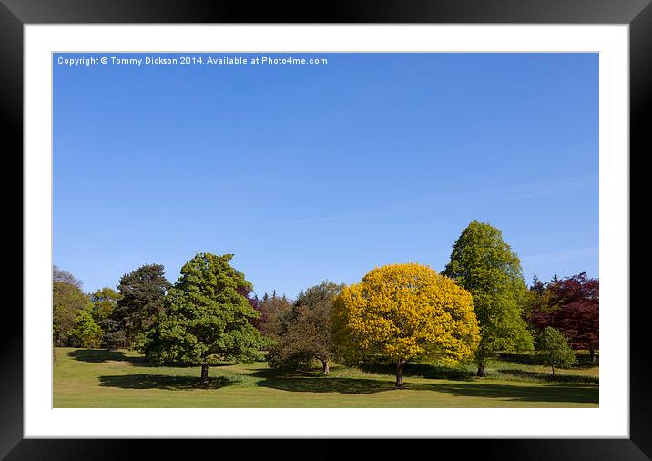 A Vibrant Autumn Landscape Framed Mounted Print by Tommy Dickson