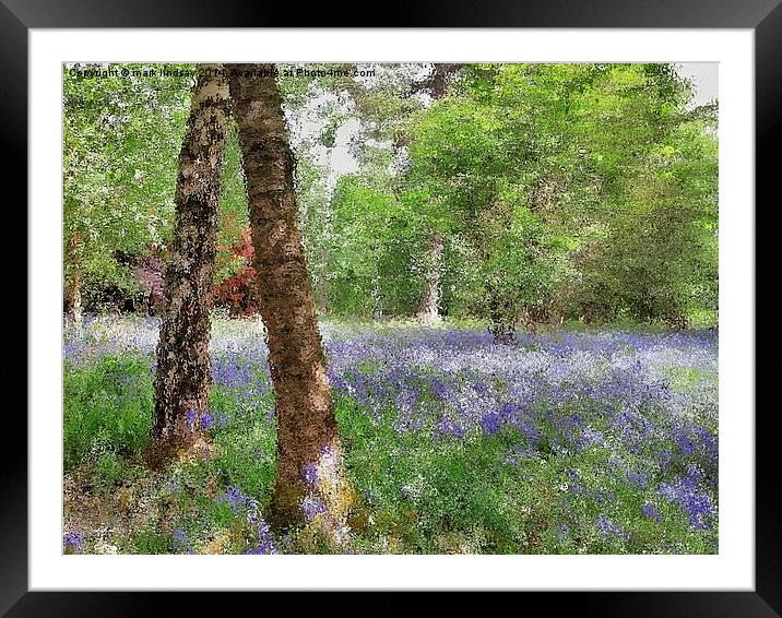 bluebell woods painting Framed Mounted Print by mark lindsay