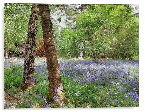bluebell woods painting Acrylic by mark lindsay