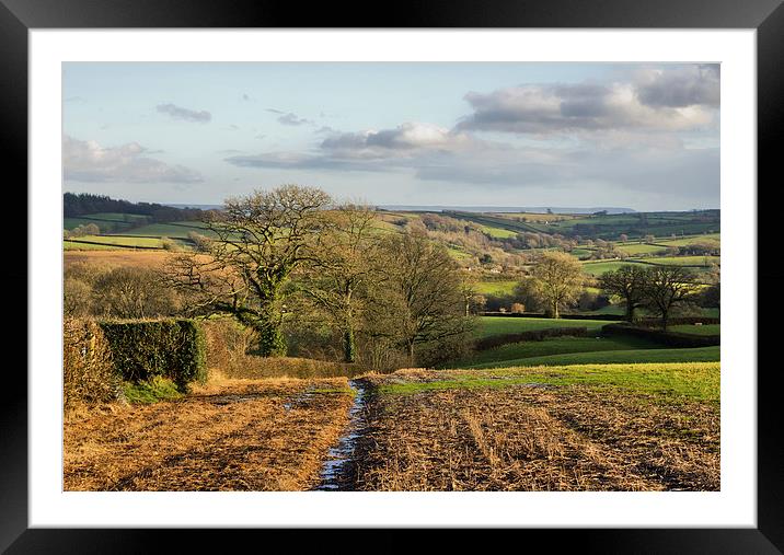 Farmland in Mid Devon Framed Mounted Print by Pete Hemington