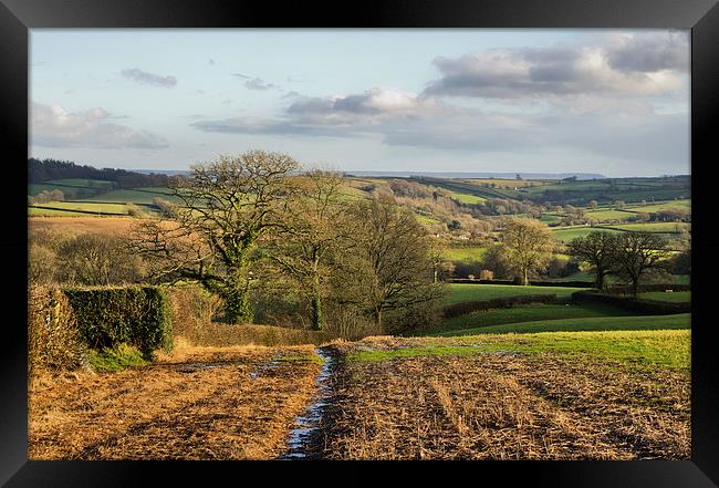 Farmland in Mid Devon Framed Print by Pete Hemington