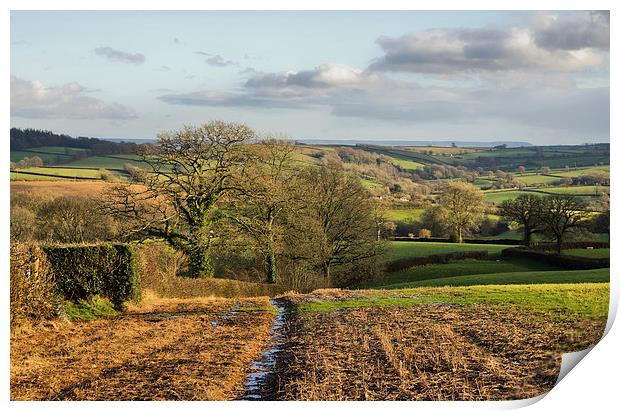 Farmland in Mid Devon Print by Pete Hemington