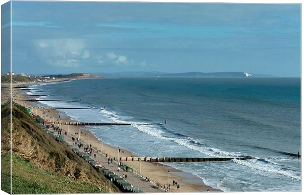 BOSCOMBE VIEW Canvas Print by Anthony Kellaway