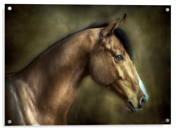 THE STALLION Acrylic by Rob Toombs