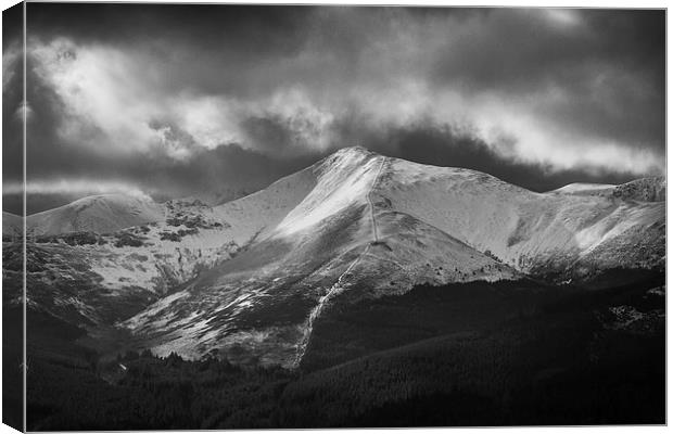 The White Way Up Canvas Print by James Meacock