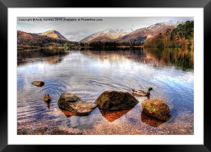 Ducks on Grasmere Framed Mounted Print by Andy Huntley