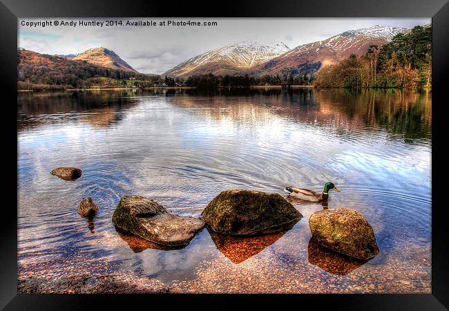 Ducks on Grasmere Framed Print by Andy Huntley