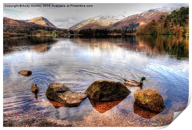 Ducks on Grasmere Print by Andy Huntley