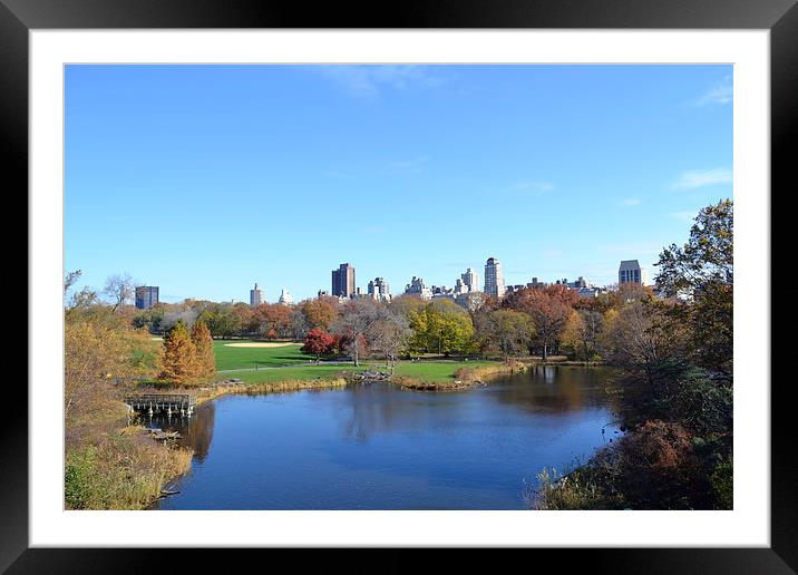 New York View Framed Mounted Print by lauren whiting