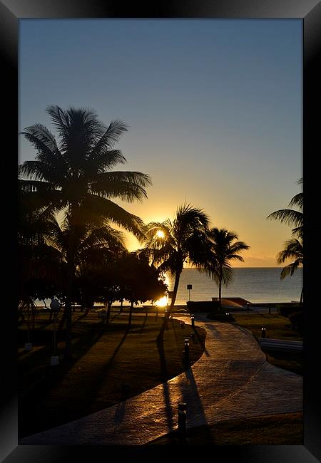 Cancun Sunrise Framed Print by lauren whiting
