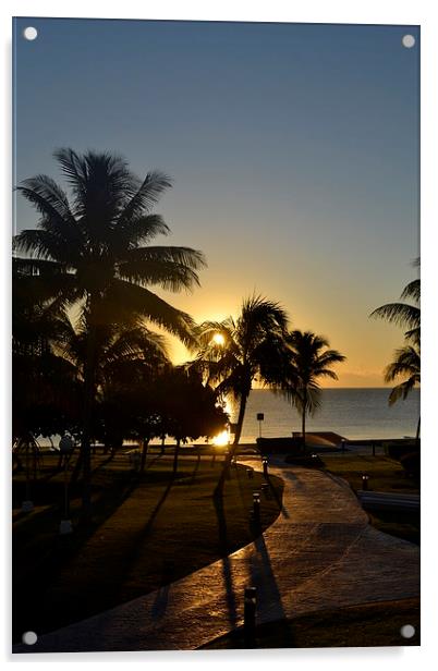 Cancun Sunrise Acrylic by lauren whiting