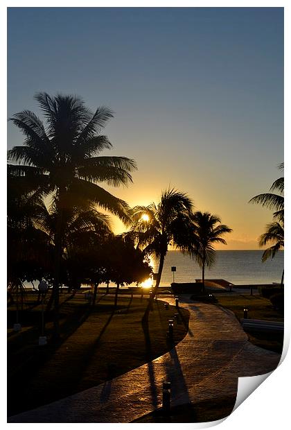 Cancun Sunrise Print by lauren whiting