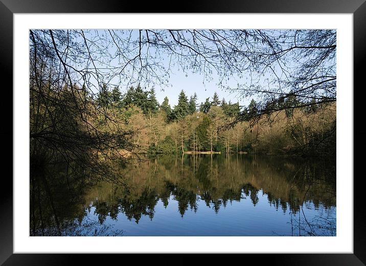Trees and blue sky reflected in lake surface. Framed Mounted Print by Liam Grant