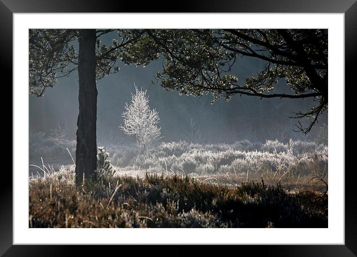 Frosty morning Framed Mounted Print by Andreas Klatt