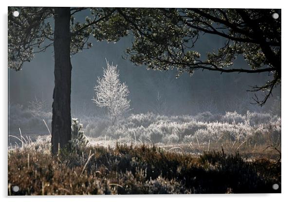 Frosty morning Acrylic by Andreas Klatt