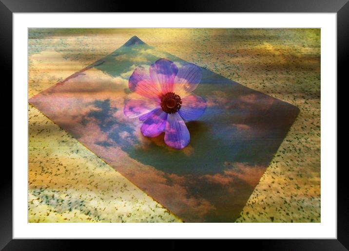 Sky Reflections. Framed Mounted Print by Heather Goodwin