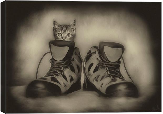 PUSS & BOOTS Canvas Print by Rob Toombs