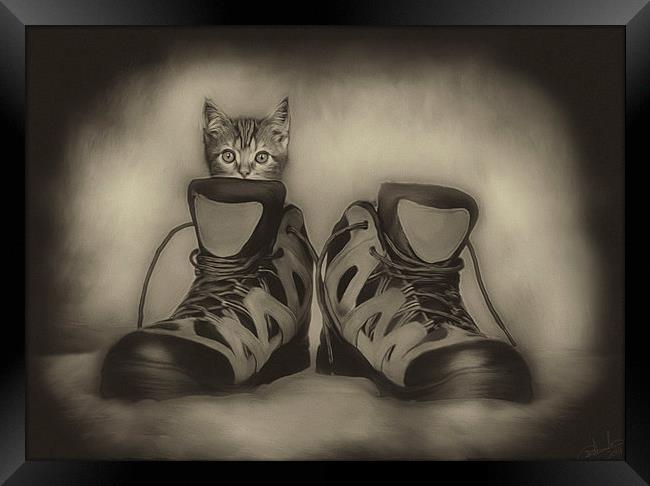 PUSS & BOOTS Framed Print by Rob Toombs