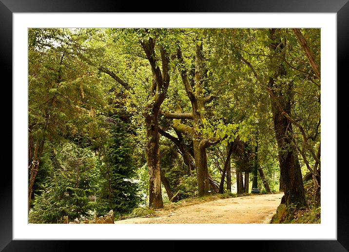 Down the road Framed Mounted Print by Luis Lajas
