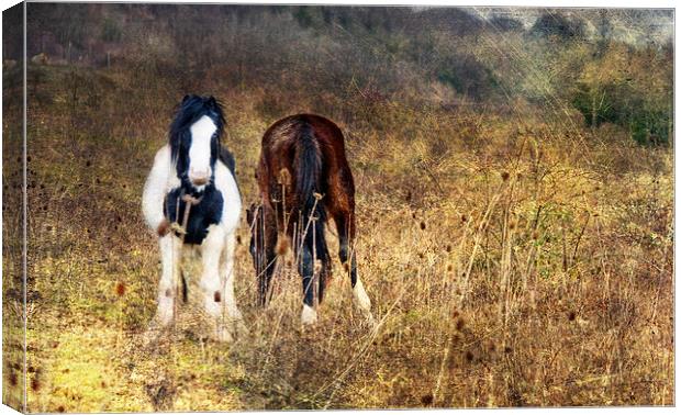 Keeping Watch Canvas Print by Dawn Cox